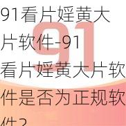 91看片婬黄大片软件-91 看片婬黄大片软件是否为正规软件？