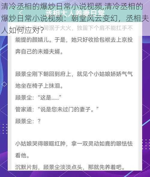 清冷丞相的爆炒日常小说视频,清冷丞相的爆炒日常小说视频：朝堂风云变幻，丞相夫人如何应对？