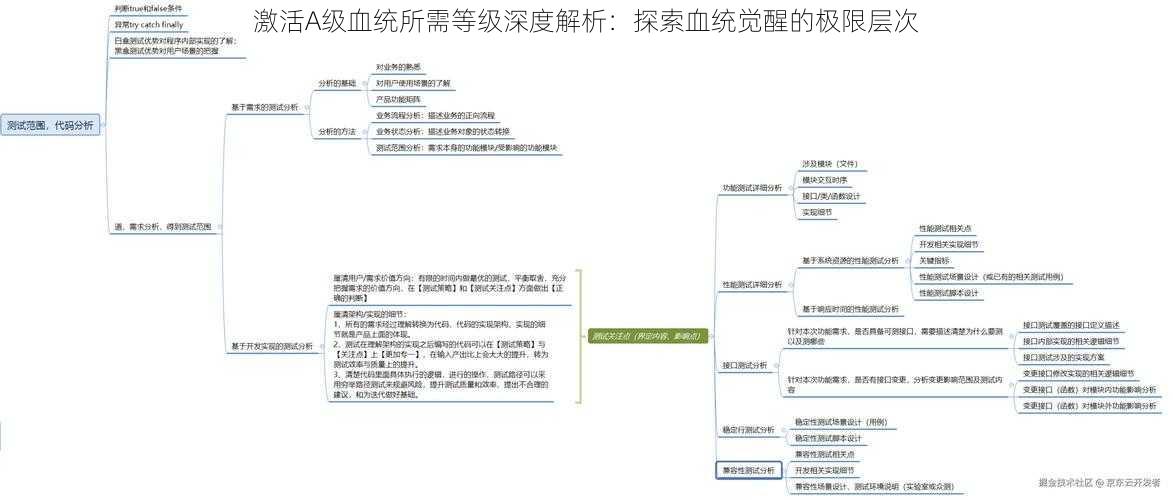 激活A级血统所需等级深度解析：探索血统觉醒的极限层次