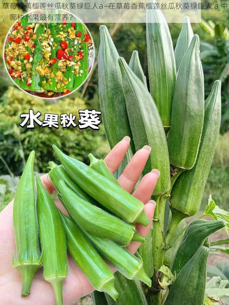 草莓香蕉榴莲丝瓜秋葵绿巨人a—在草莓香蕉榴莲丝瓜秋葵绿巨人 a 中，哪种水果最有营养？