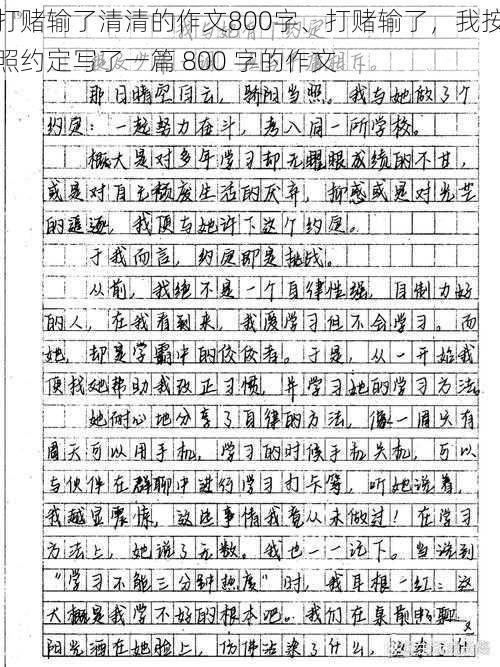 打赌输了清清的作文800字、打赌输了，我按照约定写了一篇 800 字的作文