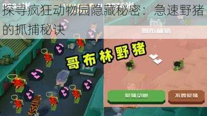 探寻疯狂动物园隐藏秘密：急速野猪的抓捕秘诀