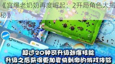 《宫爆老奶奶再度崛起：2开局角色大揭秘》