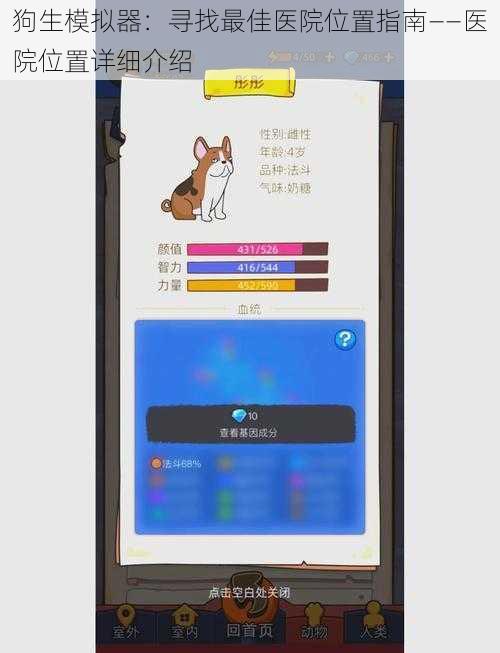 狗生模拟器：寻找最佳医院位置指南——医院位置详细介绍