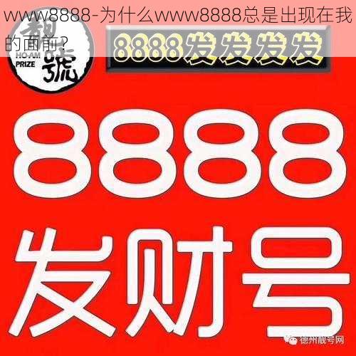 www8888-为什么www8888总是出现在我的面前？