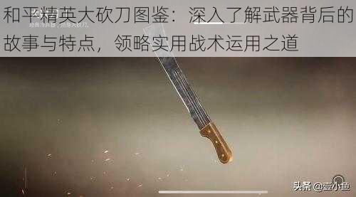 和平精英大砍刀图鉴：深入了解武器背后的故事与特点，领略实用战术运用之道