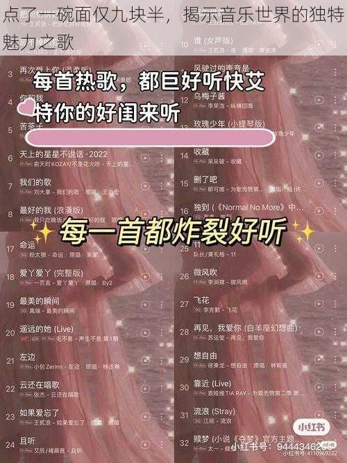 点了一碗面仅九块半，揭示音乐世界的独特魅力之歌