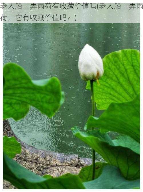 老人船上弄雨荷有收藏价值吗(老人船上弄雨荷，它有收藏价值吗？)