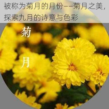 被称为菊月的月份——菊月之美，探索九月的诗意与色彩