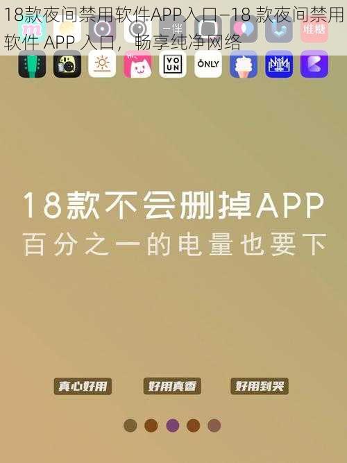 18款夜间禁用软件APP入口—18 款夜间禁用软件 APP 入口，畅享纯净网络