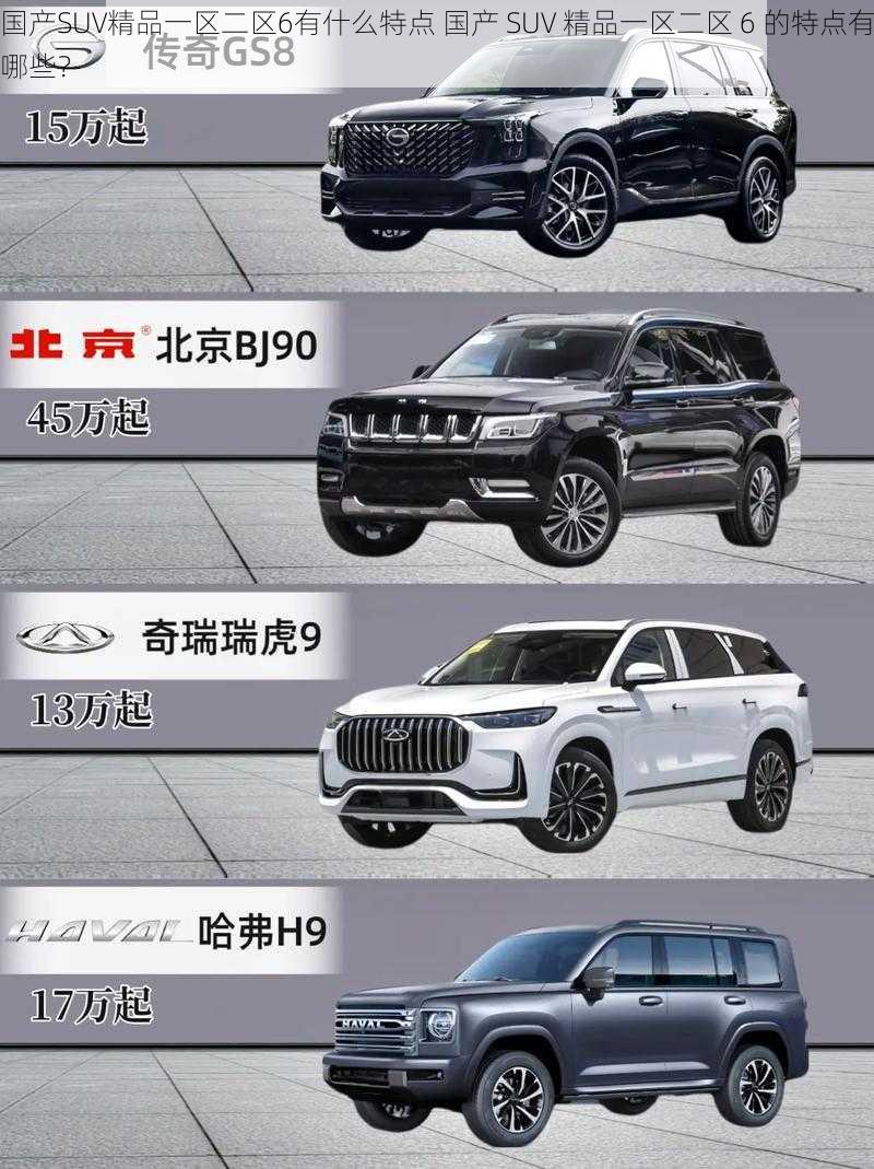 国产SUV精品一区二区6有什么特点 国产 SUV 精品一区二区 6 的特点有哪些？