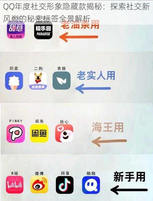 QQ年度社交形象隐藏款揭秘：探索社交新风尚的秘密标签全景解析