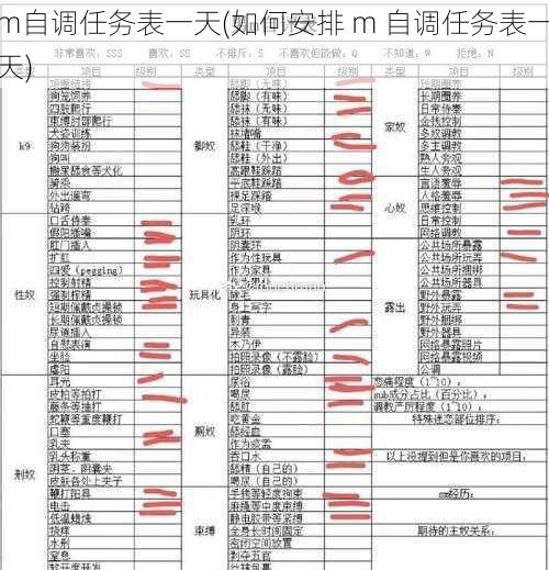 m自调任务表一天(如何安排 m 自调任务表一天)