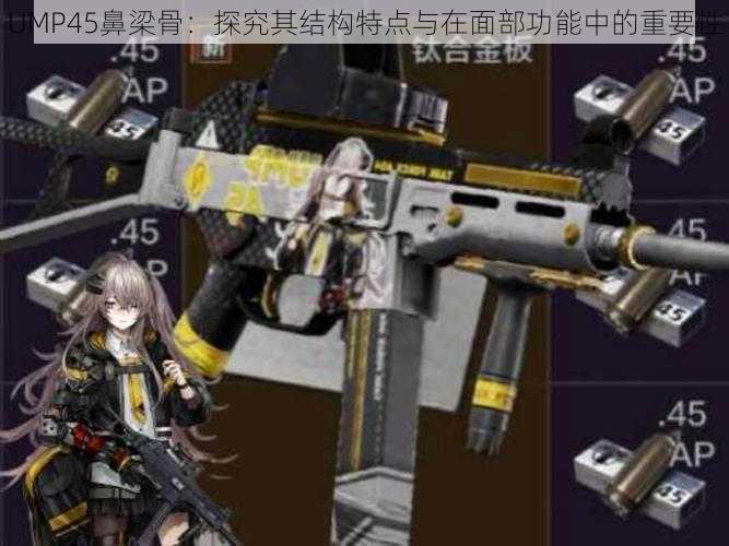 UMP45鼻梁骨：探究其结构特点与在面部功能中的重要性