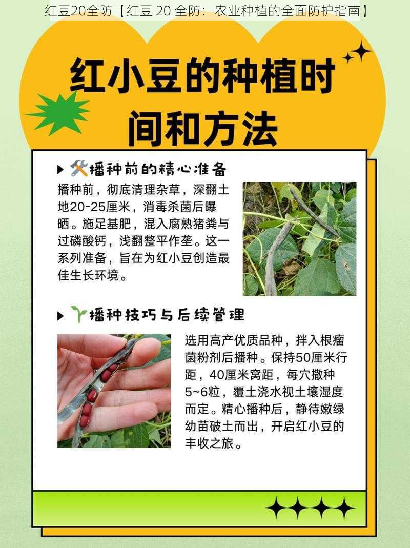 红豆20全防【红豆 20 全防：农业种植的全面防护指南】