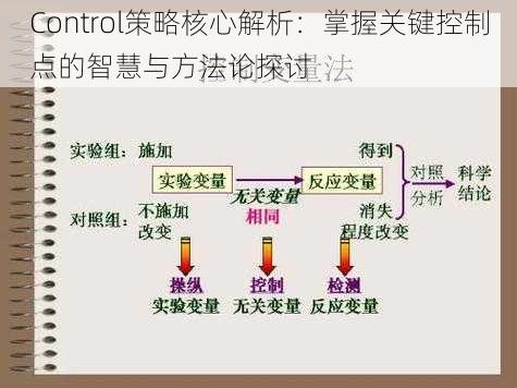 Control策略核心解析：掌握关键控制点的智慧与方法论探讨