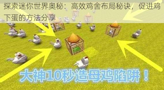 探索迷你世界奥秘：高效鸡舍布局秘诀，促进鸡下蛋的方法分享