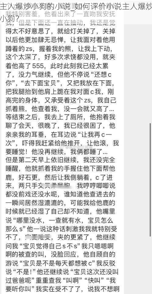 主人爆炒小狗的小说_如何评价小说主人爆炒小狗？