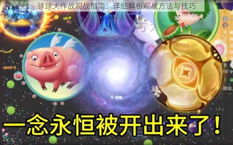 球球大作战观战指南：详细解析观战方法与技巧