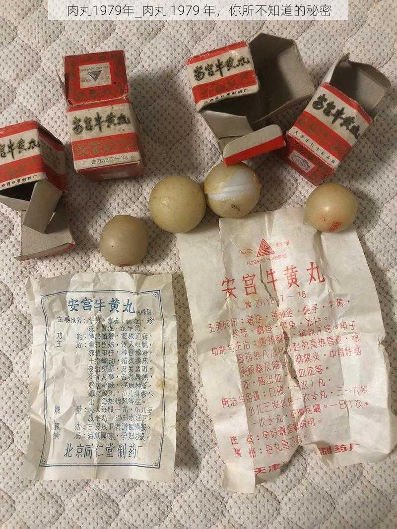 肉丸1979年_肉丸 1979 年，你所不知道的秘密