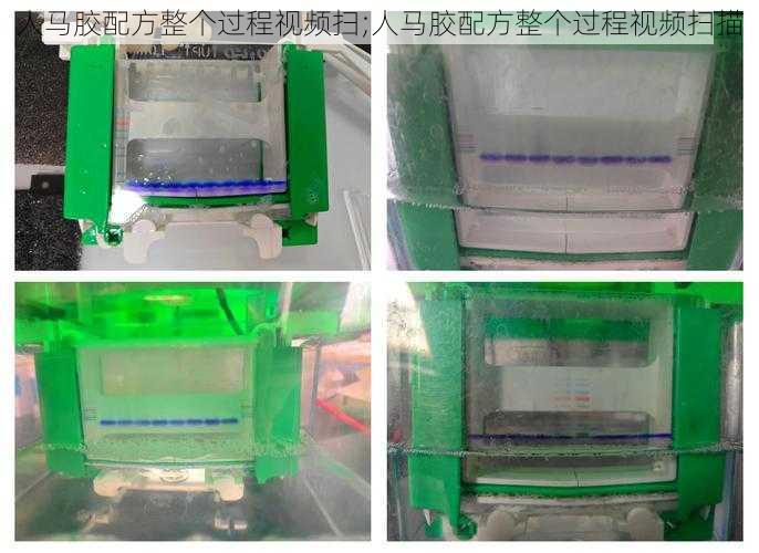 人马胶配方整个过程视频扫;人马胶配方整个过程视频扫描