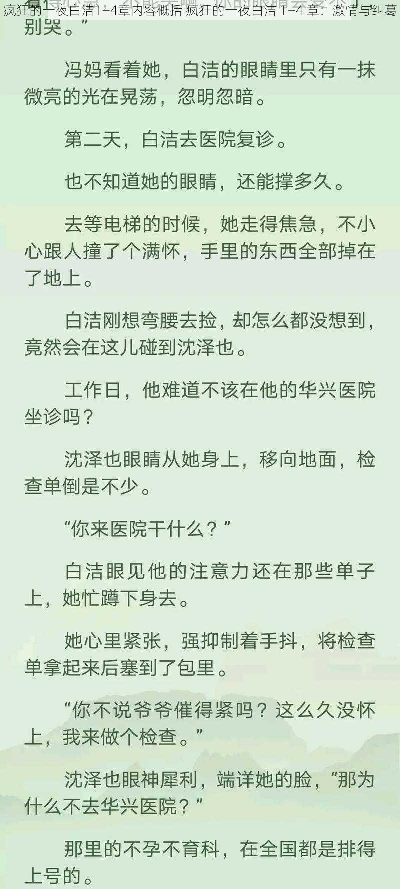 疯狂的一夜白洁1—4章内容概括 疯狂的一夜白洁 1—4 章：激情与纠葛