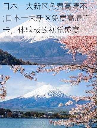 日本一大新区免费高清不卡;日本一大新区免费高清不卡，体验极致视觉盛宴