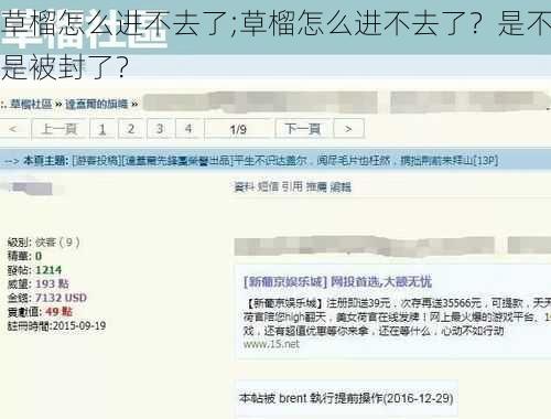 草榴怎么进不去了;草榴怎么进不去了？是不是被封了？