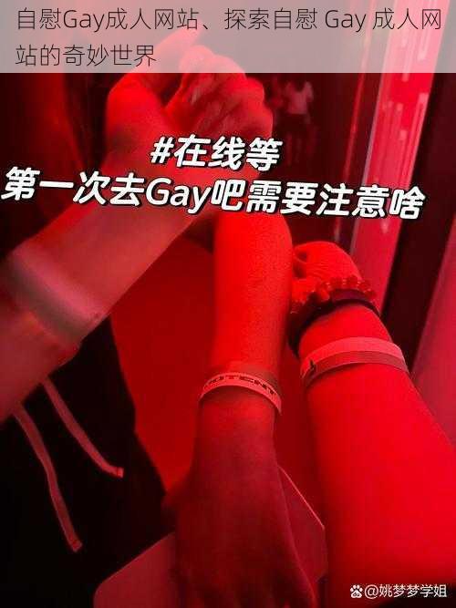 自慰Gay成人网站、探索自慰 Gay 成人网站的奇妙世界