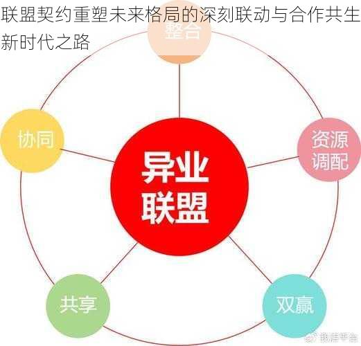 联盟契约重塑未来格局的深刻联动与合作共生新时代之路