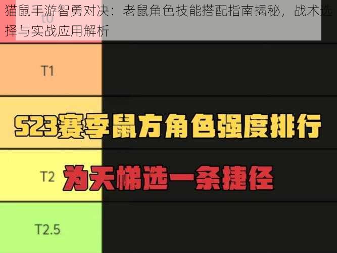 猫鼠手游智勇对决：老鼠角色技能搭配指南揭秘，战术选择与实战应用解析