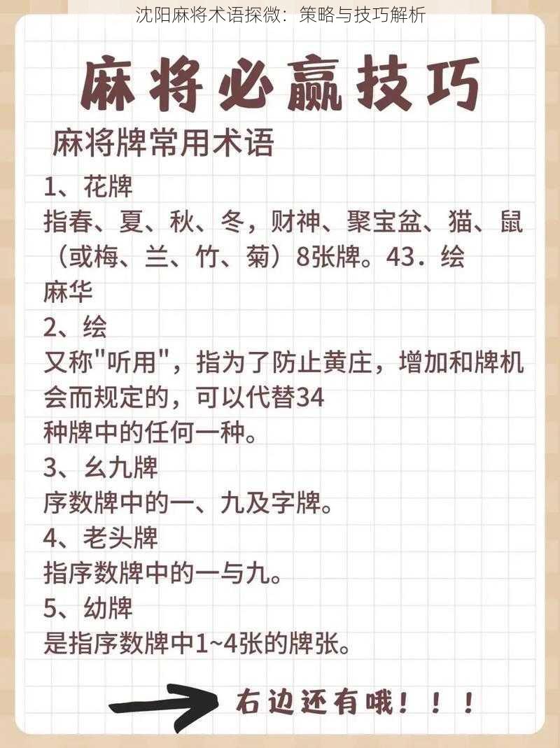 沈阳麻将术语探微：策略与技巧解析