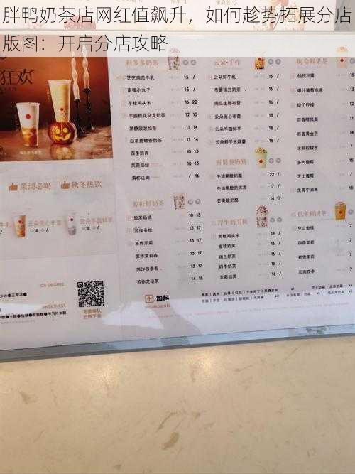 胖鸭奶茶店网红值飙升，如何趁势拓展分店版图：开启分店攻略