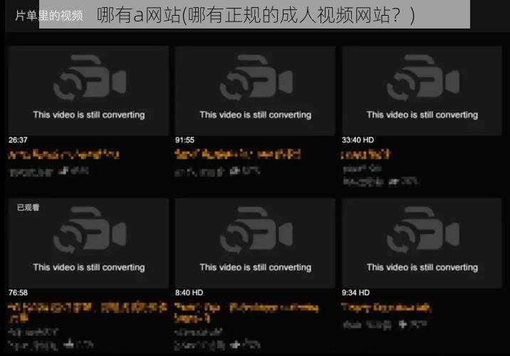 哪有a网站(哪有正规的成人视频网站？)