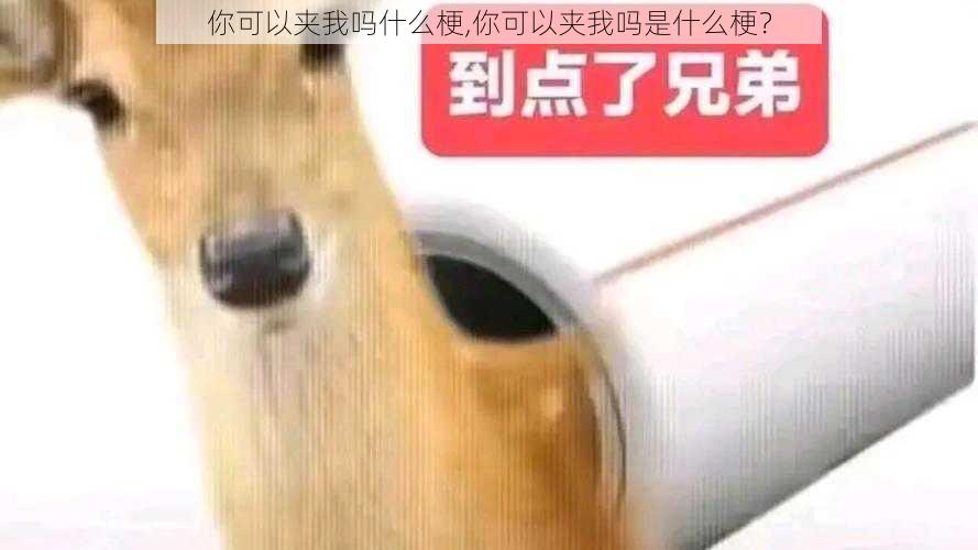 你可以夹我吗什么梗,你可以夹我吗是什么梗？