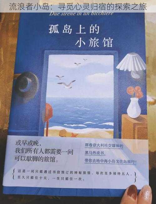 流浪者小岛：寻觅心灵归宿的探索之旅