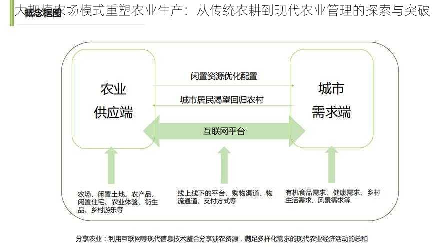 大规模农场模式重塑农业生产：从传统农耕到现代农业管理的探索与突破