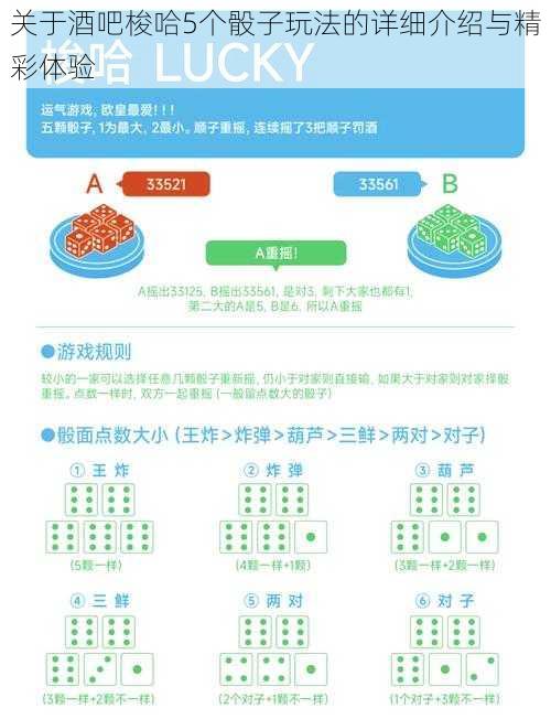 关于酒吧梭哈5个骰子玩法的详细介绍与精彩体验