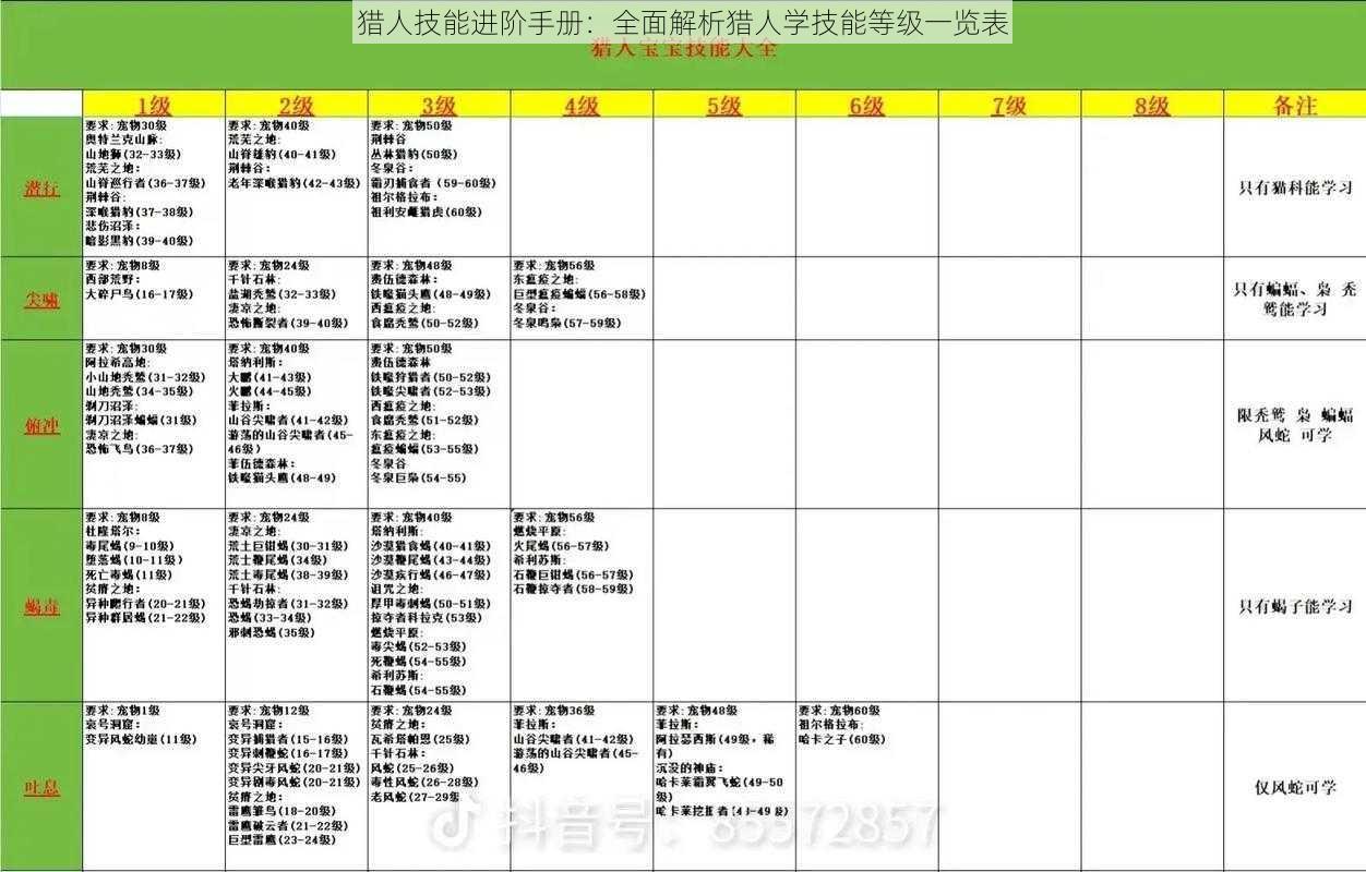 猎人技能进阶手册：全面解析猎人学技能等级一览表