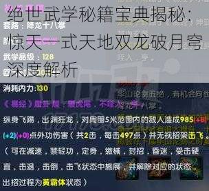 绝世武学秘籍宝典揭秘：惊天一式天地双龙破月穹深度解析