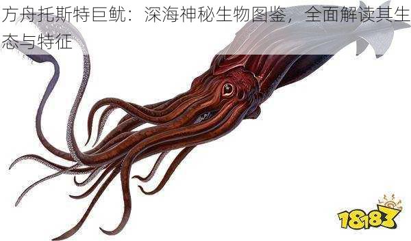 方舟托斯特巨鱿：深海神秘生物图鉴，全面解读其生态与特征