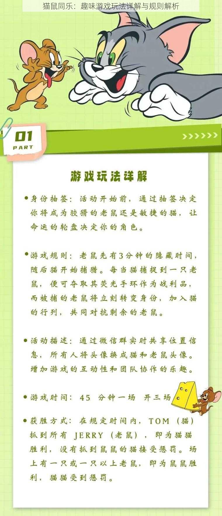 猫鼠同乐：趣味游戏玩法详解与规则解析