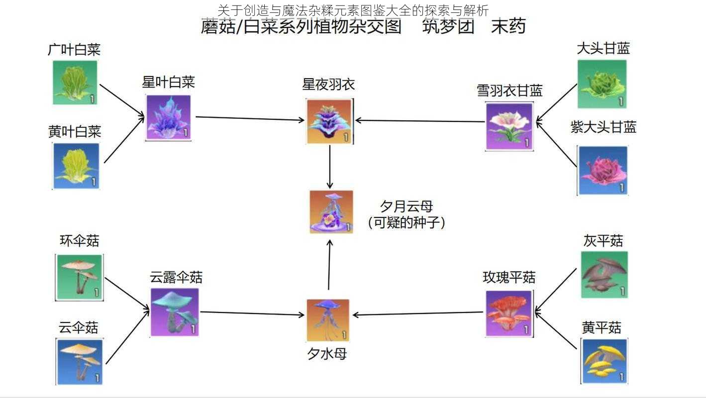 关于创造与魔法杂糅元素图鉴大全的探索与解析