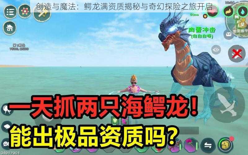 创造与魔法：鳄龙满资质揭秘与奇幻探险之旅开启