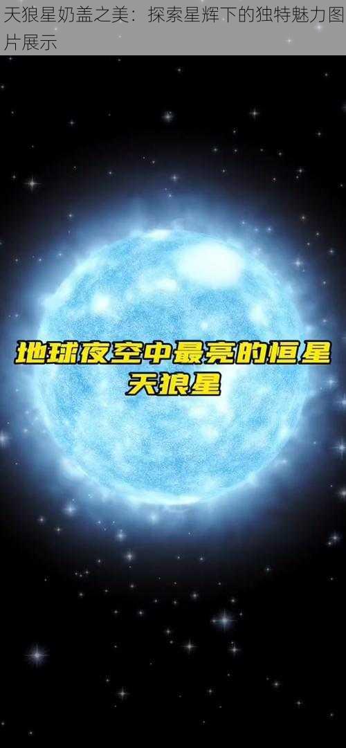 天狼星奶盖之美：探索星辉下的独特魅力图片展示