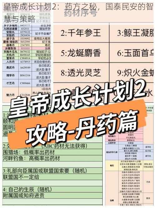 皇帝成长计划2：药方之秘，国泰民安的智慧与策略