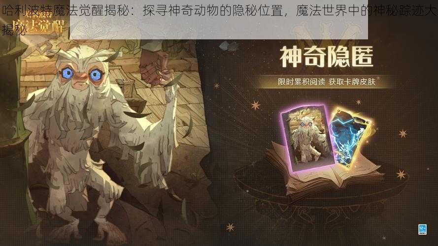 哈利波特魔法觉醒揭秘：探寻神奇动物的隐秘位置，魔法世界中的神秘踪迹大揭秘