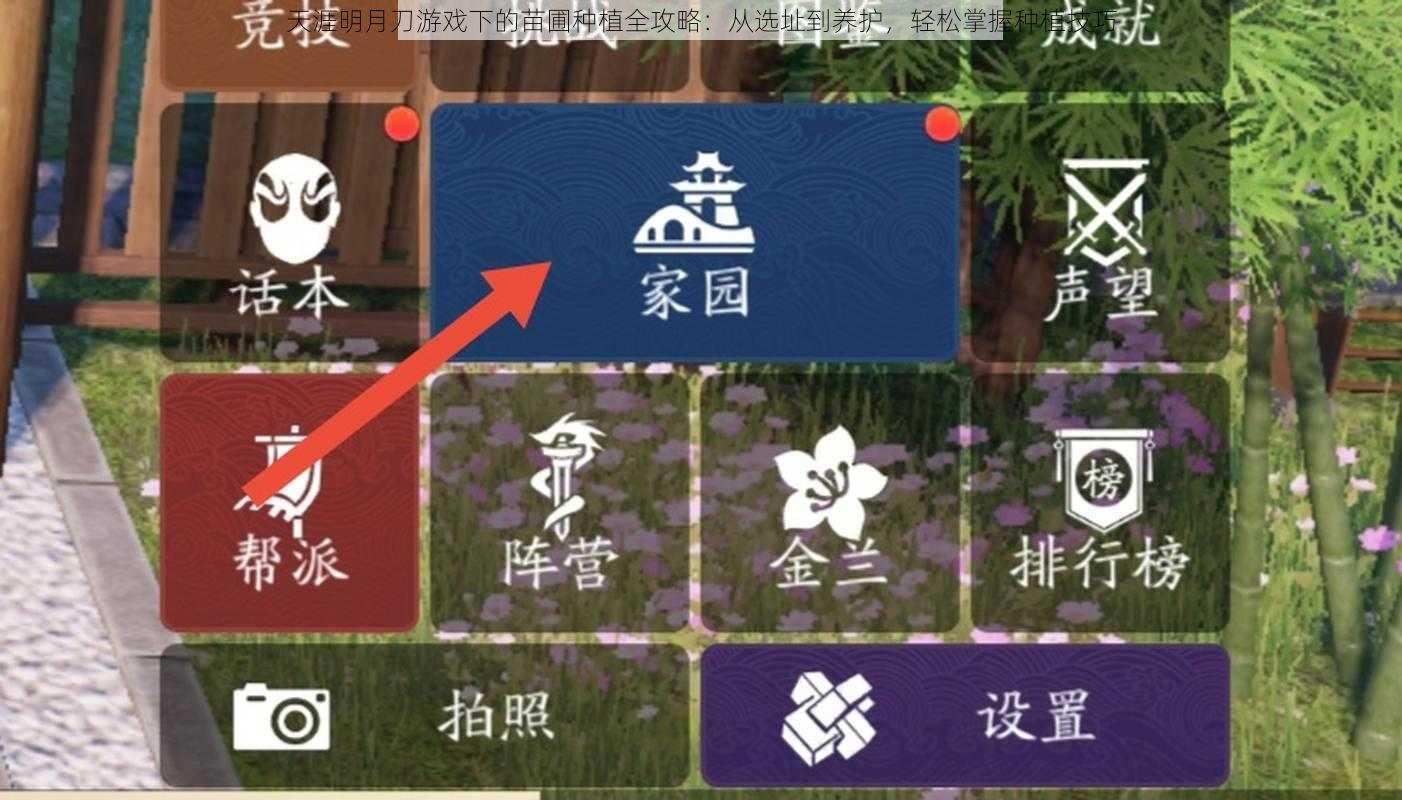 天涯明月刀游戏下的苗圃种植全攻略：从选址到养护，轻松掌握种植技巧