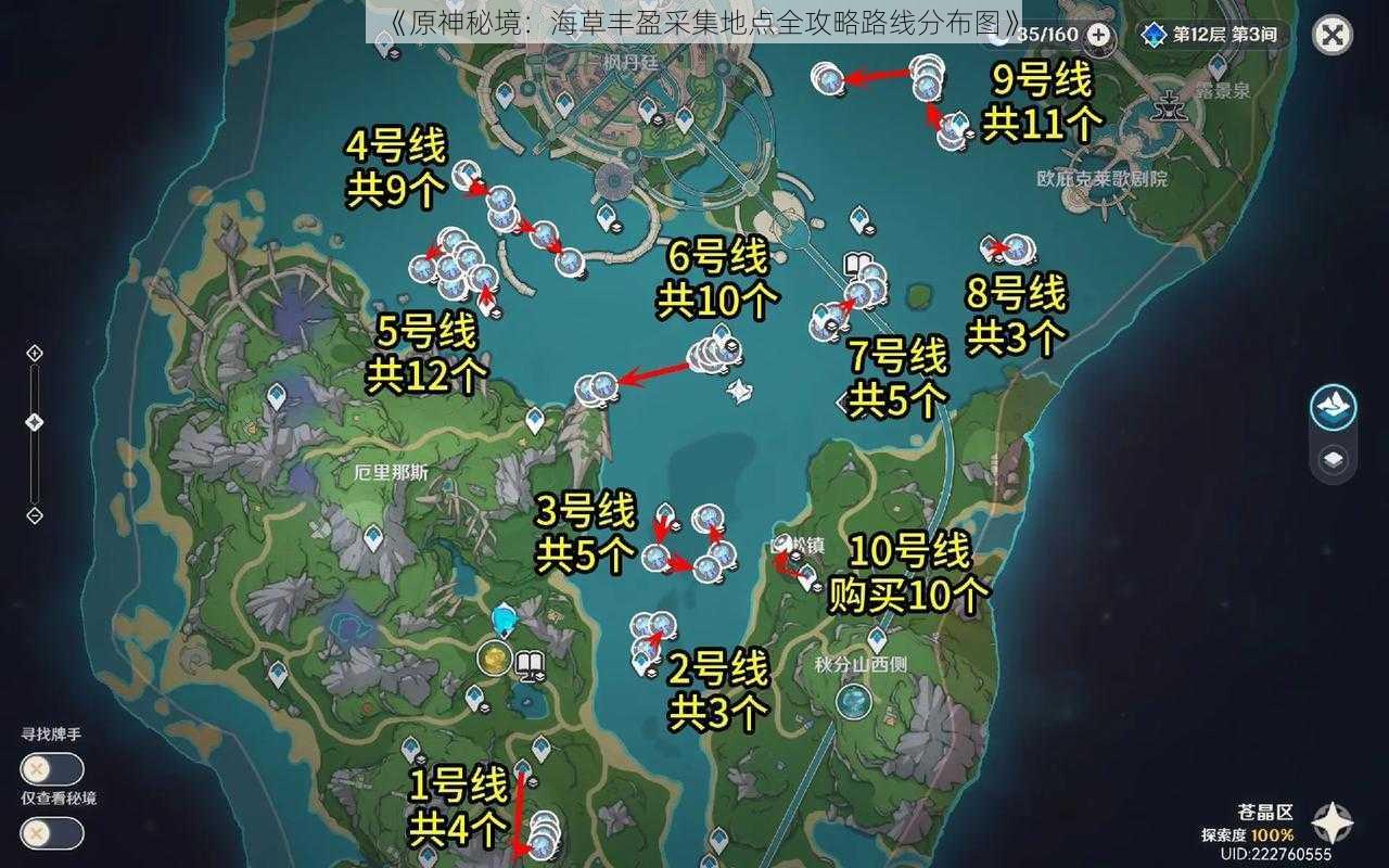 《原神秘境：海草丰盈采集地点全攻略路线分布图》