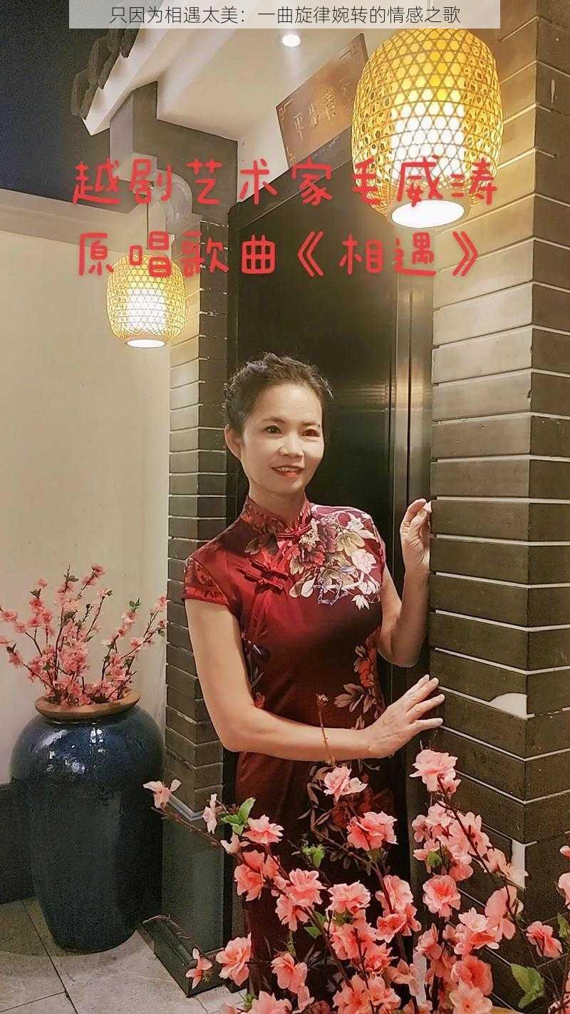 只因为相遇太美：一曲旋律婉转的情感之歌